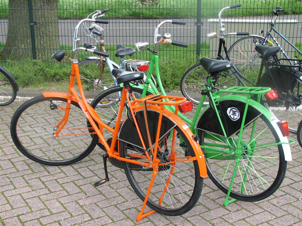 IMG_9783 (Large).jpg